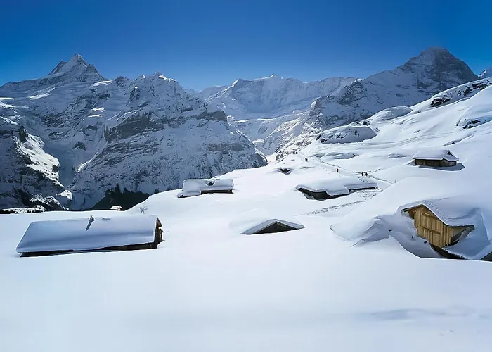 Lägenhet Hori-2 By Interhome Grindelwald