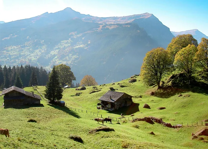 Hori-2 By Interhome *