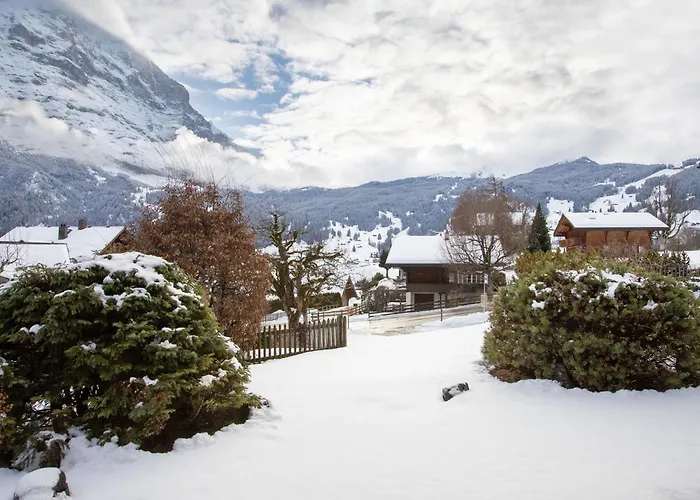 Hori-2 By Interhome Apartment Grindelwald