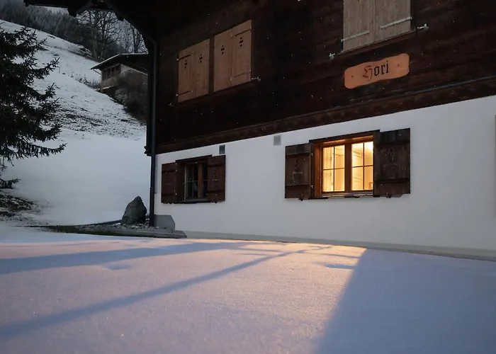 Hori-2 By Interhome Apartment Grindelwald