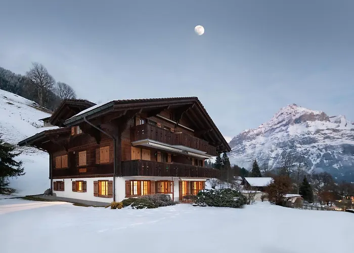 Hori-2 By Interhome Appartamento Grindelwald